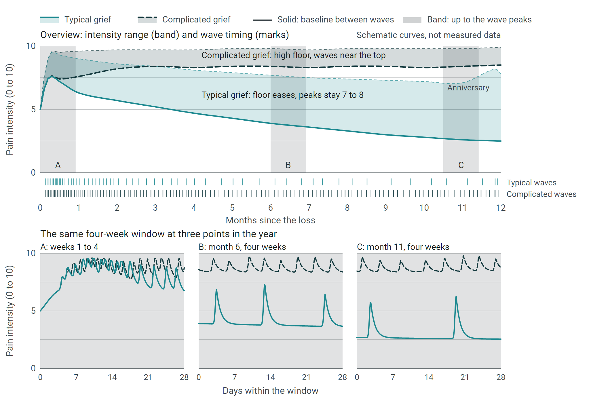 Figure 1. Pain intensity after a loss over twelve months, typical grief versus complicated grief. The band runs from the floor between waves up to the wave peaks; the marks below show when waves occur; the three small panels show the same four-week window at weeks 1 to 4, month 6, and month 11.